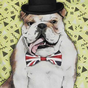 Foto del Delantal de un Bulldog Ingles donde se nota los detalles del estampado como el perro el gorro y el corbatin